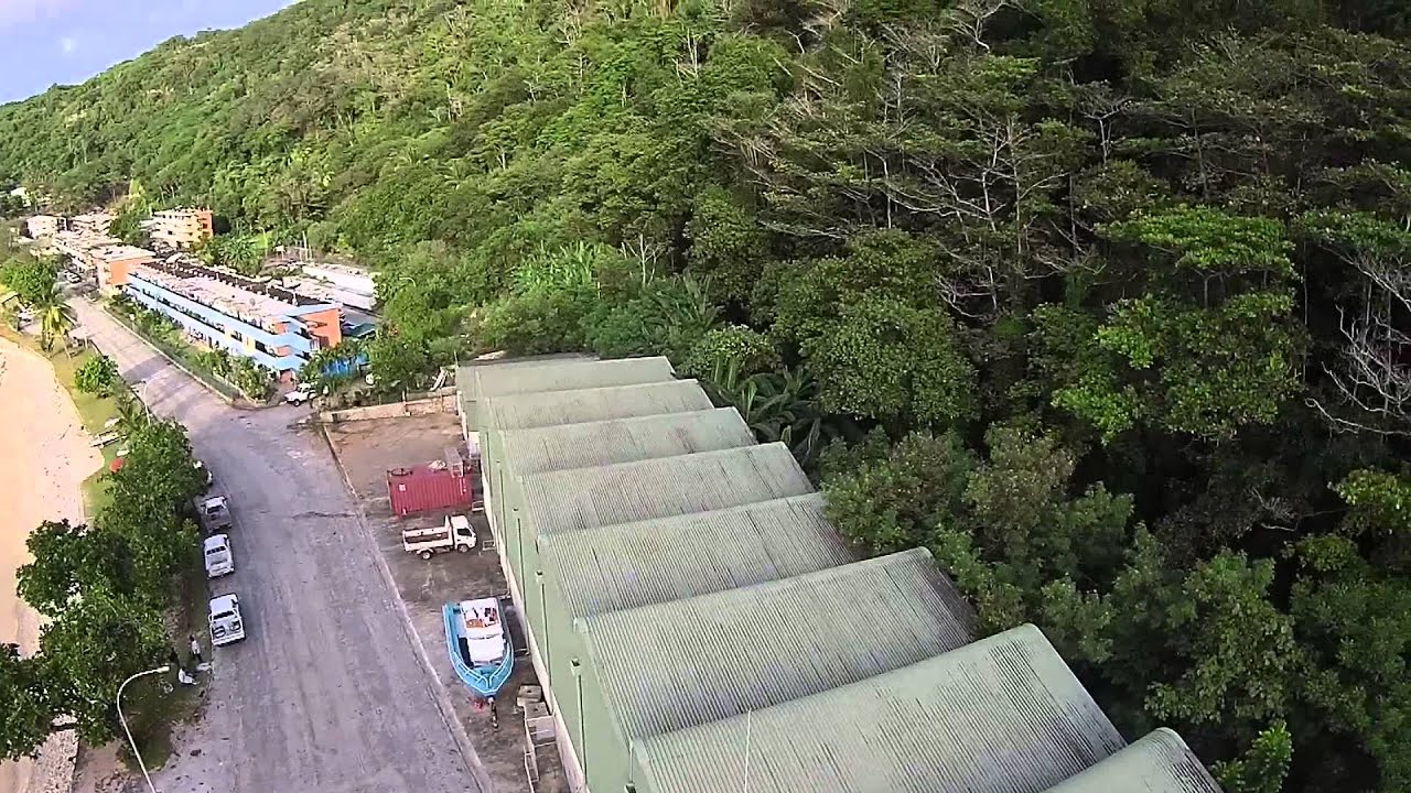  Flying Fish Cove, Christmas Island skank